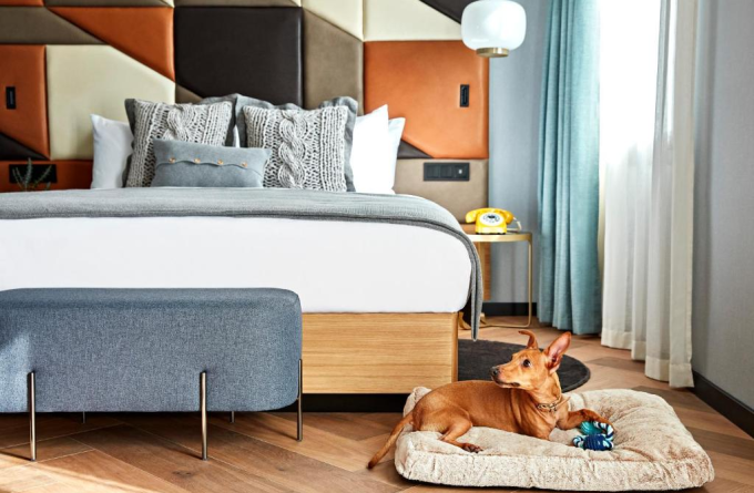 Kimpton Vividora Hotel, an IHG Hotel