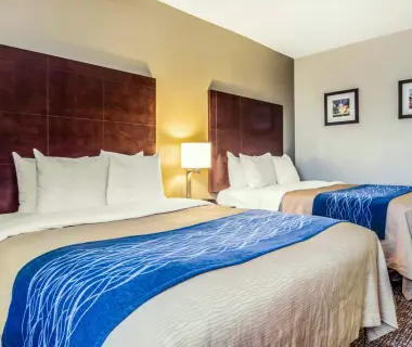 Comfort Inn Atlanta Downtown South