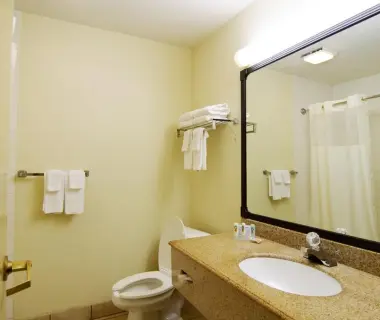 Quality Inn & Suites NRG Park - Medical Center
