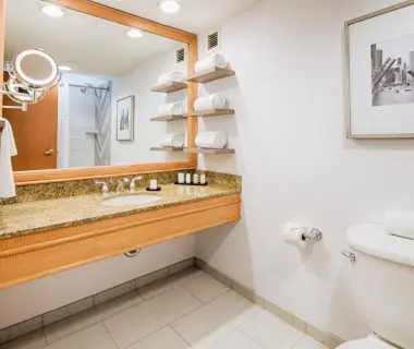 Embassy Suites Chicago - O'Hare Rosemont