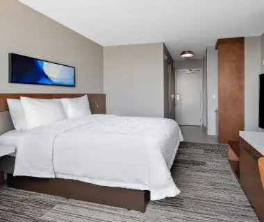 Hilton Garden Inn Chicago McCormick Place