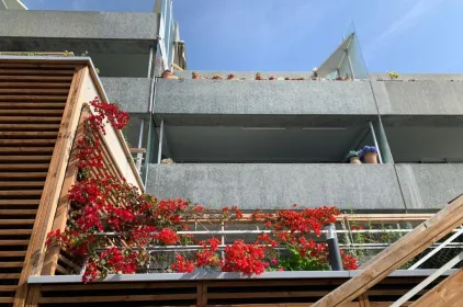 SARA RIVIERA Costa Plana