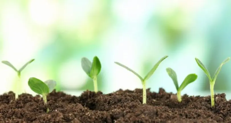 SEEK OUT GROWTH IN THE AGRICULTURE, HORTICULTURE & GARDENING SECTORS WITH THESE 4 ЕVENTS