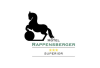 Hotel Rappensberger